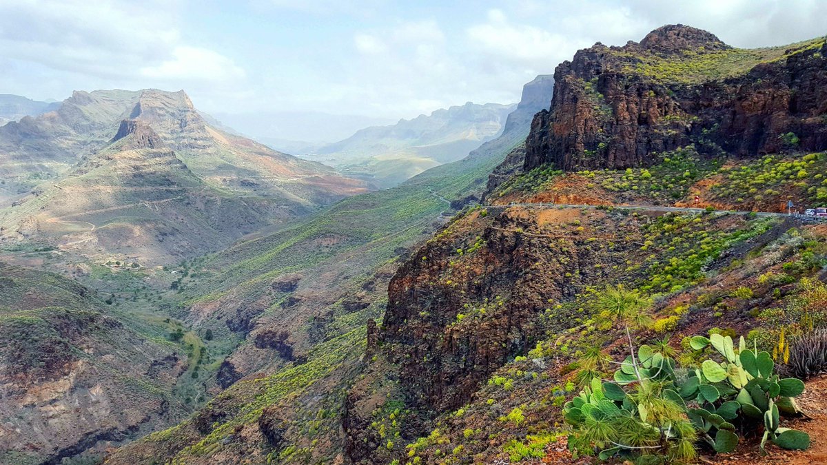 GallivantingNMD's tweet photo. Your guide to the Canary Islands https://t.co/3E7SYWoR4t https://t.co/a7zd00lLGQ