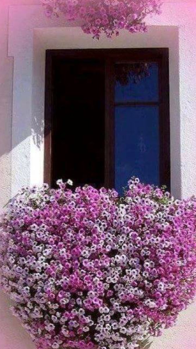 Good morning 🌺🌺🌺صباح الخير 🌺🌺bonjour 🌺🌺🌺🌺🌺🌺🌺🌺