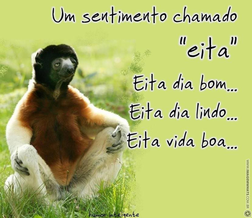 Eita, Betas!!!
#BetaQuerLab 
#BetaAjudaBeta