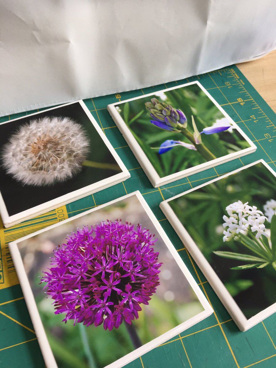 Blue Avenue Design tweet media