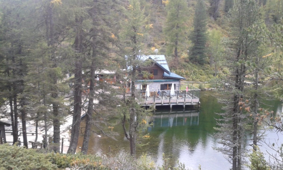 MCristinaCesa's tweet photo. Cartolina dal lago delle #Malghette https://t.co/NjGTsd5epE