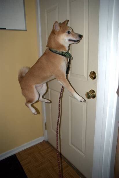 KryptusZ's tweet image. 