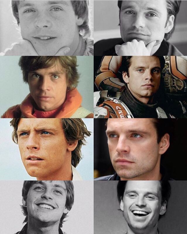 pía on X: CONSIDER SEBASTIAN STAN FOR A YOUNG LUKE SKYWALKER, SPECIALLY  NOW THAT MARK HAMILL CONFIRMED HE IS HIS SON  / X