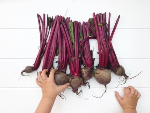 NomNomKidsgo's tweet photo. Learn all about the nutritional facts of seasonal produce by @HappyHealthyTum 
https://t.co/oDeciMb0C2
#foodfacts #healthyeating #nutrition https://t.co/MjtrkyqRL7