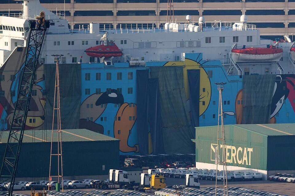 jserraferre's tweet photo. #freePiolin #savePiolin
#freeTweety #saveTweety https://t.co/BV6HlLoxoL