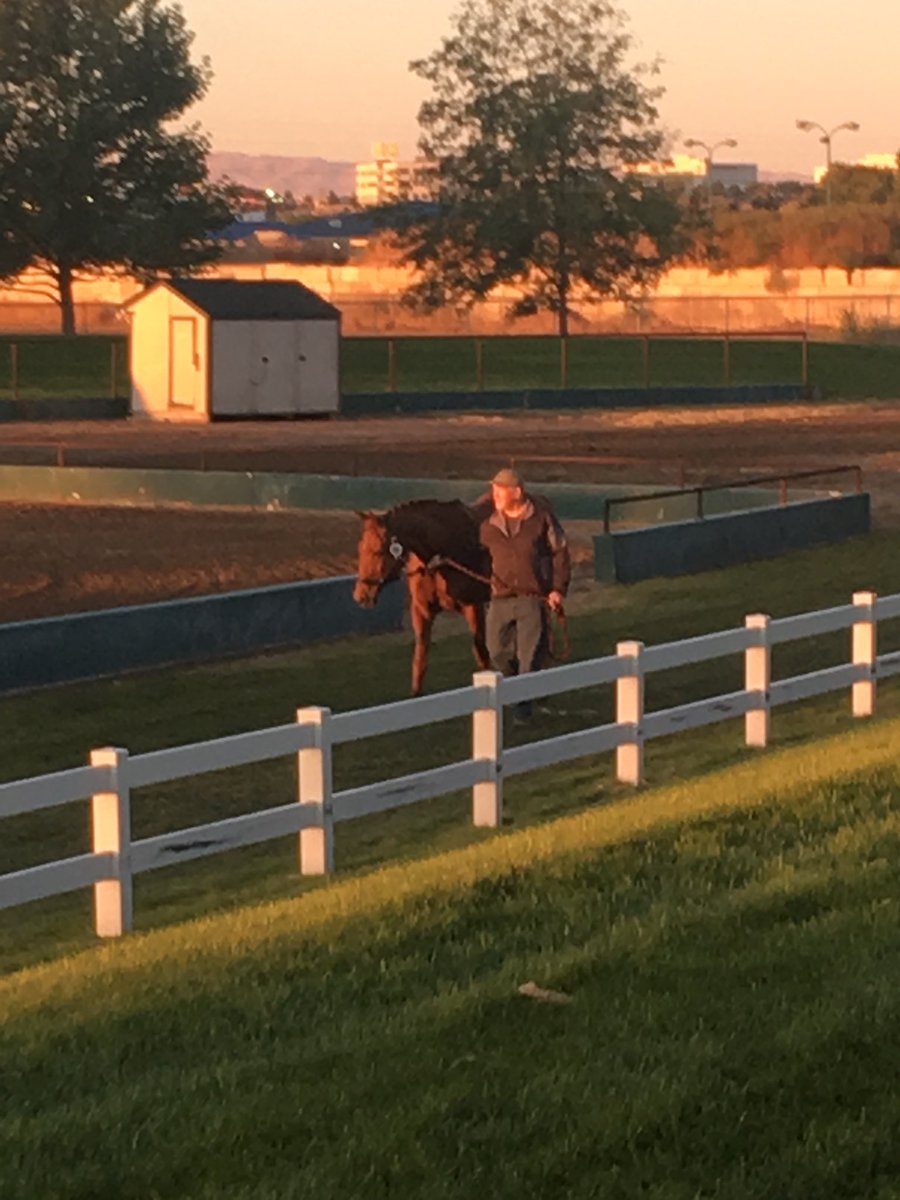 USDF's tweet photo. Beautiful Idaho sunrise this morning at the Region 6 Great American Insurance Group/USDF Regional Championships! #USDFRegion6 https://t.co/cp75QYuD3a
