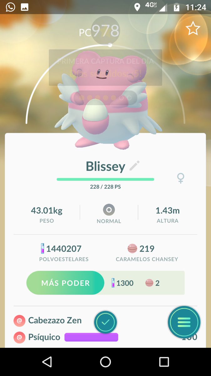 Silvia G tweet media