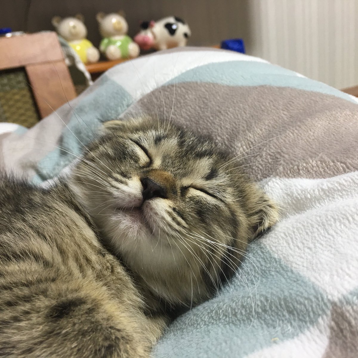 2ndsep2017's tweet photo. 잠 시리즈 3 https://t.co/orZyT3EwGl