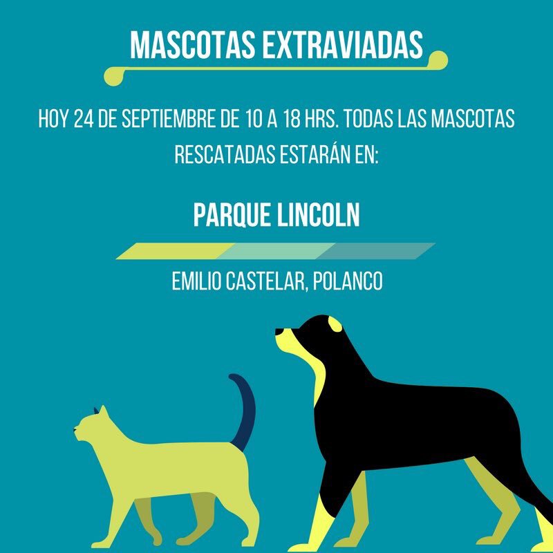 rogergzz's tweet photo. ⚠️ Si perdiste a tu mascota durante el sismo, búscalo hoy en el Parque Lincoln de Polanco 🐕🐈 @rogerlateshow https://t.co/TFyTE16w5n