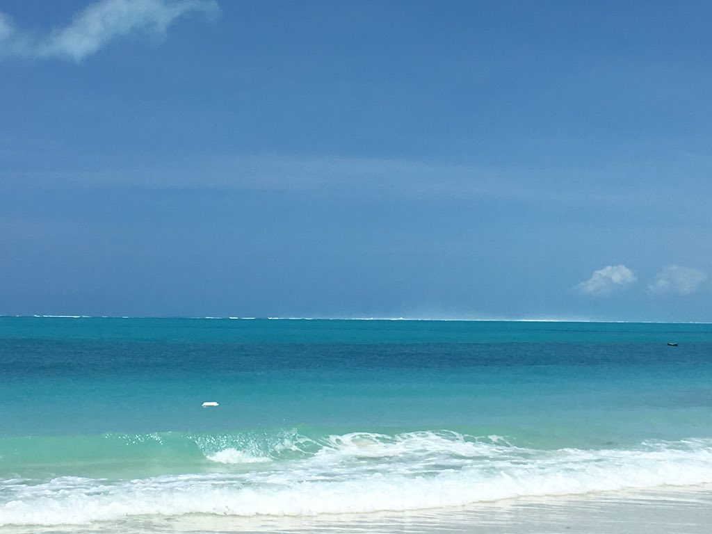 Lynne Watts tweet media