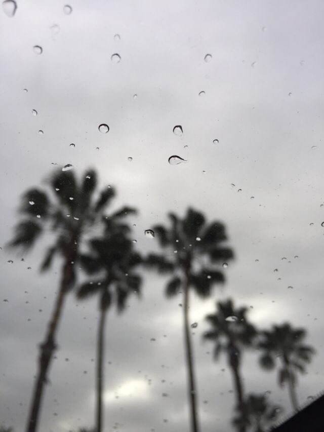 OceanObsessions's tweet image. i think rain is the most beautiful thing that this world has to offer