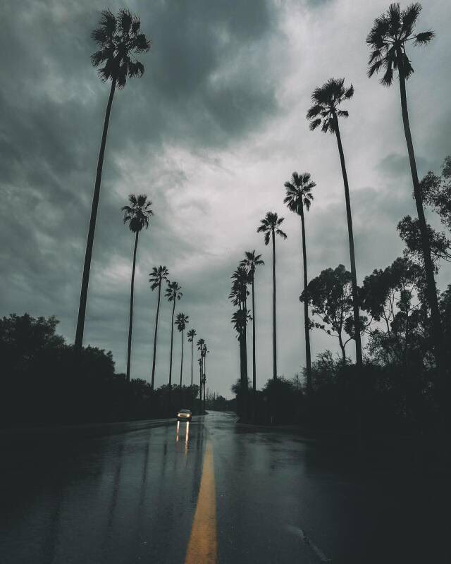 OceanObsessions's tweet image. i think rain is the most beautiful thing that this world has to offer