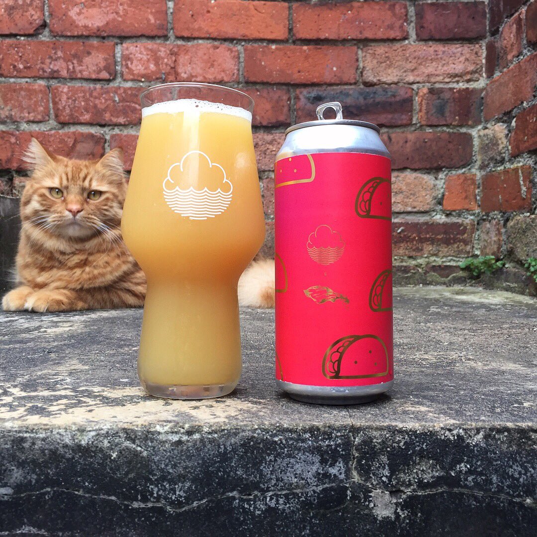 Taco oF TACOCAT from <a href="/theveilbrewing/">The Veil Brewing Co.</a> x <a href="/cloudwaterbrew/">Cloudwater Brew Co</a> 🤤

instagram.com/p/BZbsVO7lE1-/