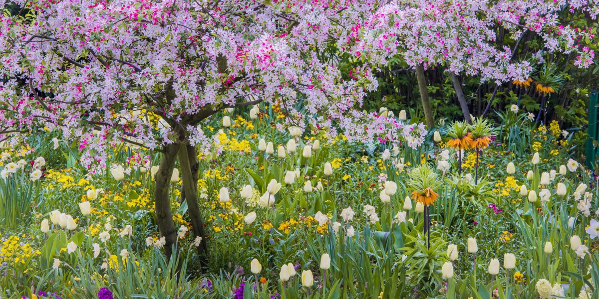 33 flowers to plant right now if you want a beautiful garden next spring buff.ly/2xkOqbH