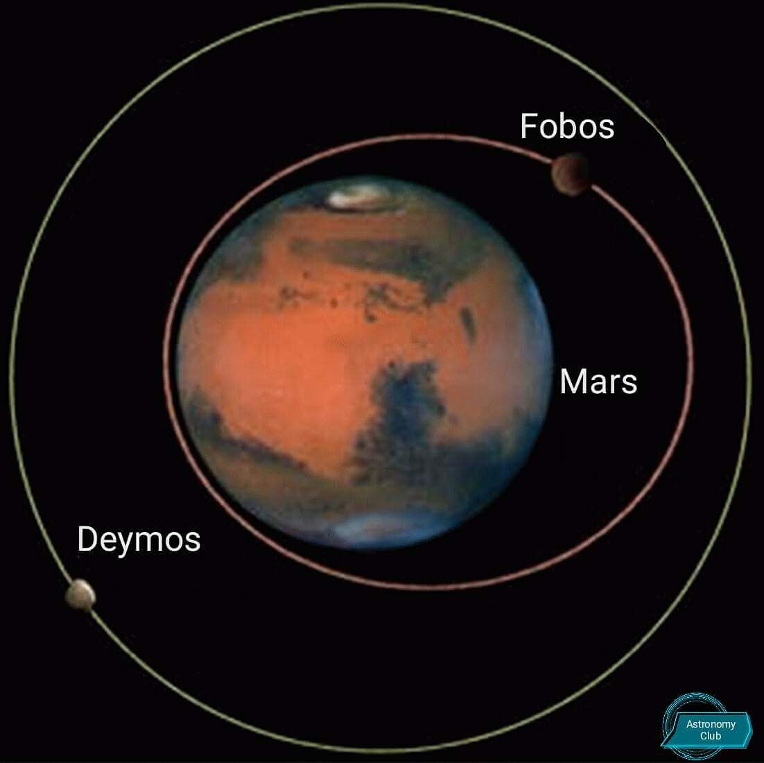 Страх и ужас спутники какой планеты. Марс Фобос и Деймос. Планета Марс спутники Марса. Фобос и Деймос спутники планеты. Марс Планета спутники Деймос.