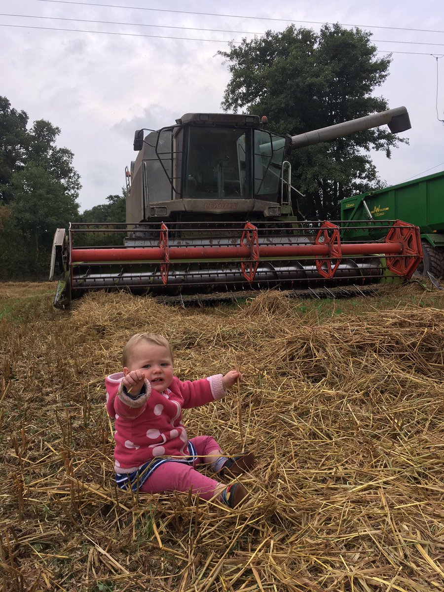 farmingthefield's tweet photo. #putyourhandsintheair  we have finished combining...... #harvest17 still goes on though with #spuds #growingthefoodwelove #chipsonyourplate https://t.co/mRdPwwkLEJ