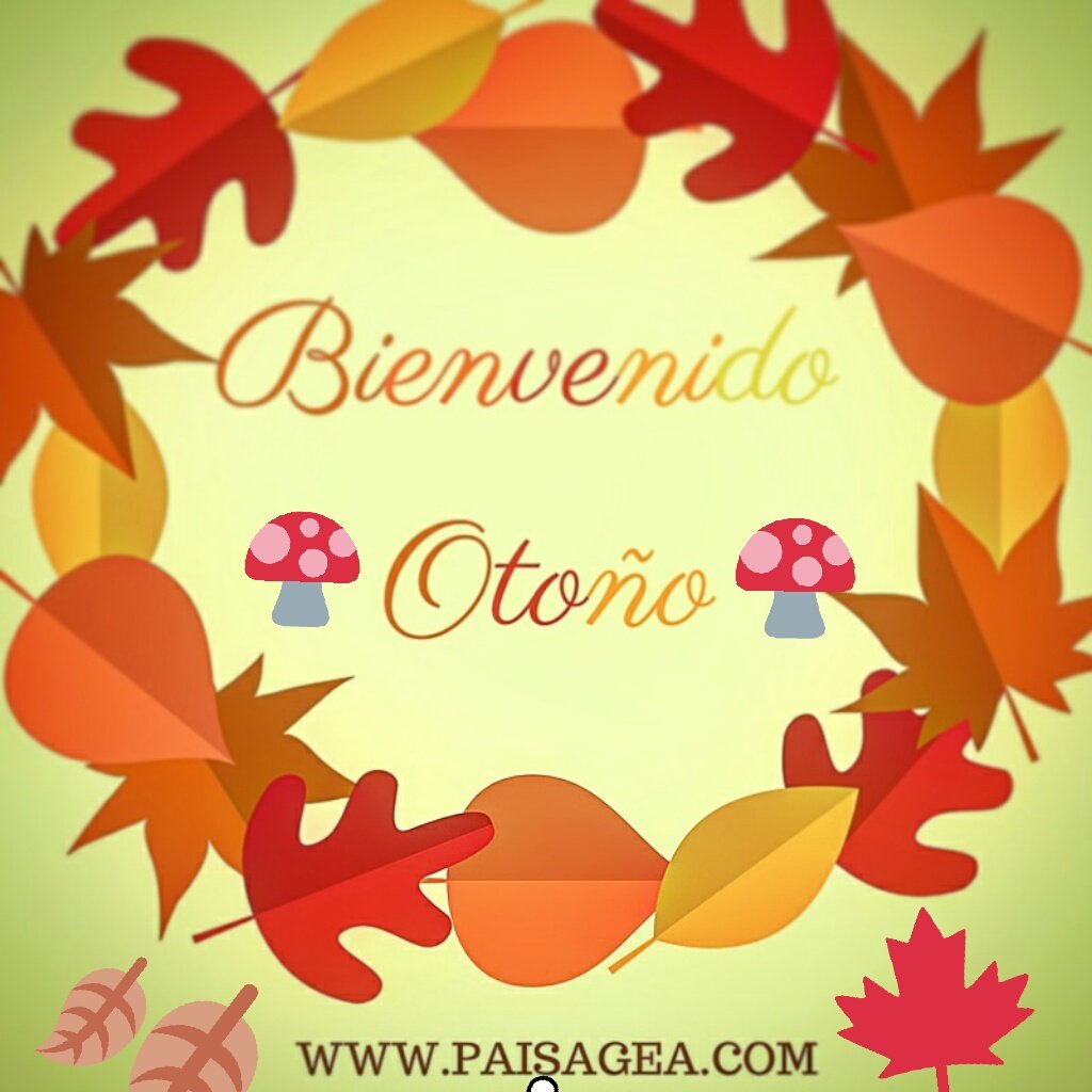 Paisagea's tweet photo. Feliz entrada de Otoño a todos nuestros seguidores 
#erestujardin #paisagea #FelizDomingo #FelizOtoño #bienvenidootono https://t.co/8ZKYg6uSxF