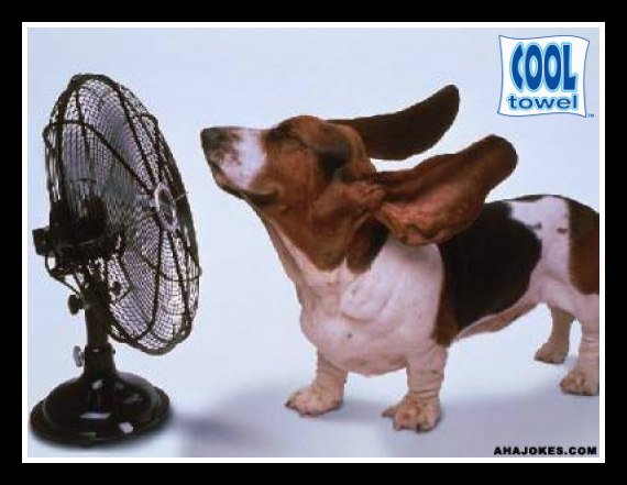 ourturffb's tweet photo. STILL HOT WHERE YOU ARE? ๐ ๐ Keep these handy and you'll be dandy @CoolTowelOnline #nflfemale #TSHOM ๐ >> https://t.co/ImZULGaOM3 #fall https://t.co/uoct4yU39F