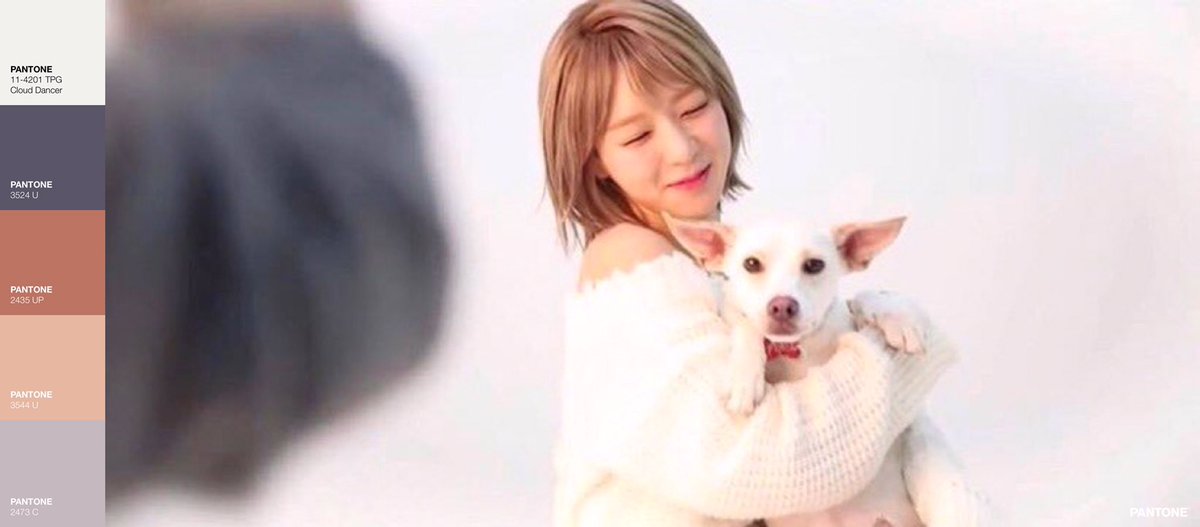 aoapalettes's tweet photo. —choa ✦ #에이오에이 https://t.co/vJDou33p40