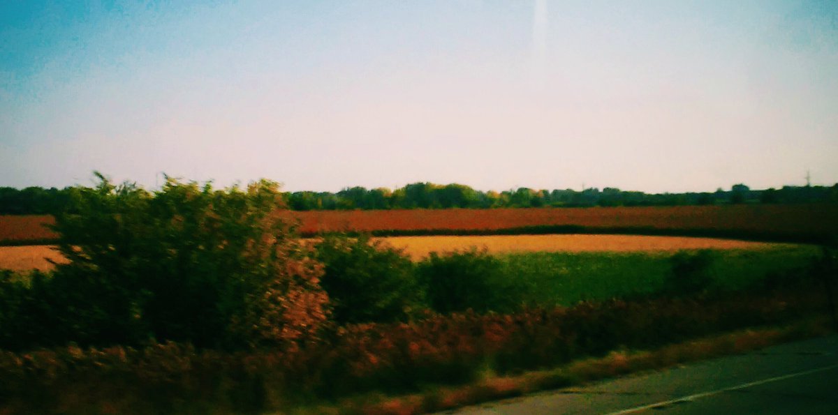 TheMsSnowfire's tweet image. The #separation of fields generates layers @CHICAGOFRAMED