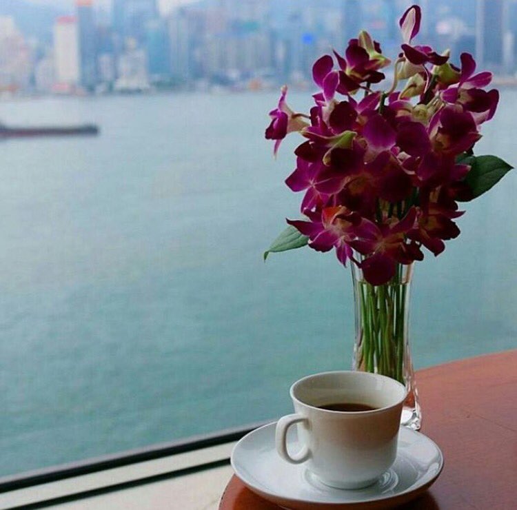 #صباح الخير لِـ رصيف نسي لونه العابرين،لِـ شجرة كسرها ميلانها عن الظل،ولِـ غيمة مهاجرة أمطرت في المحيط،صباح الخير لكل من خانته الأبجدية🌺