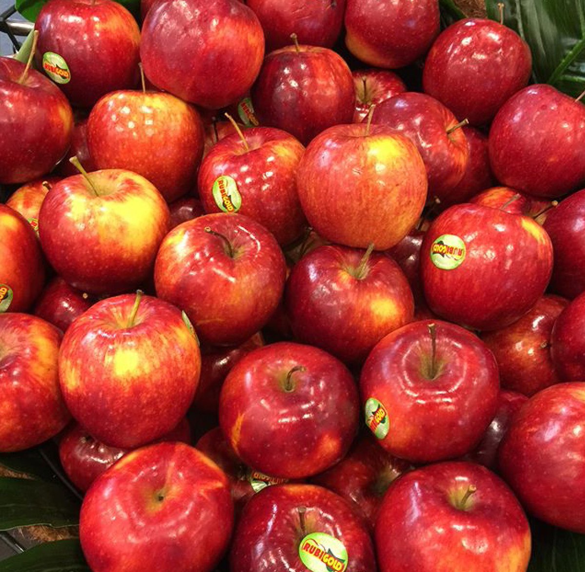 These beautiful #Rubigoldapples available <a href="/LaFrutteriaDB/">Rocco</a> #DoubleBay  crisp crunchie 👍🍎