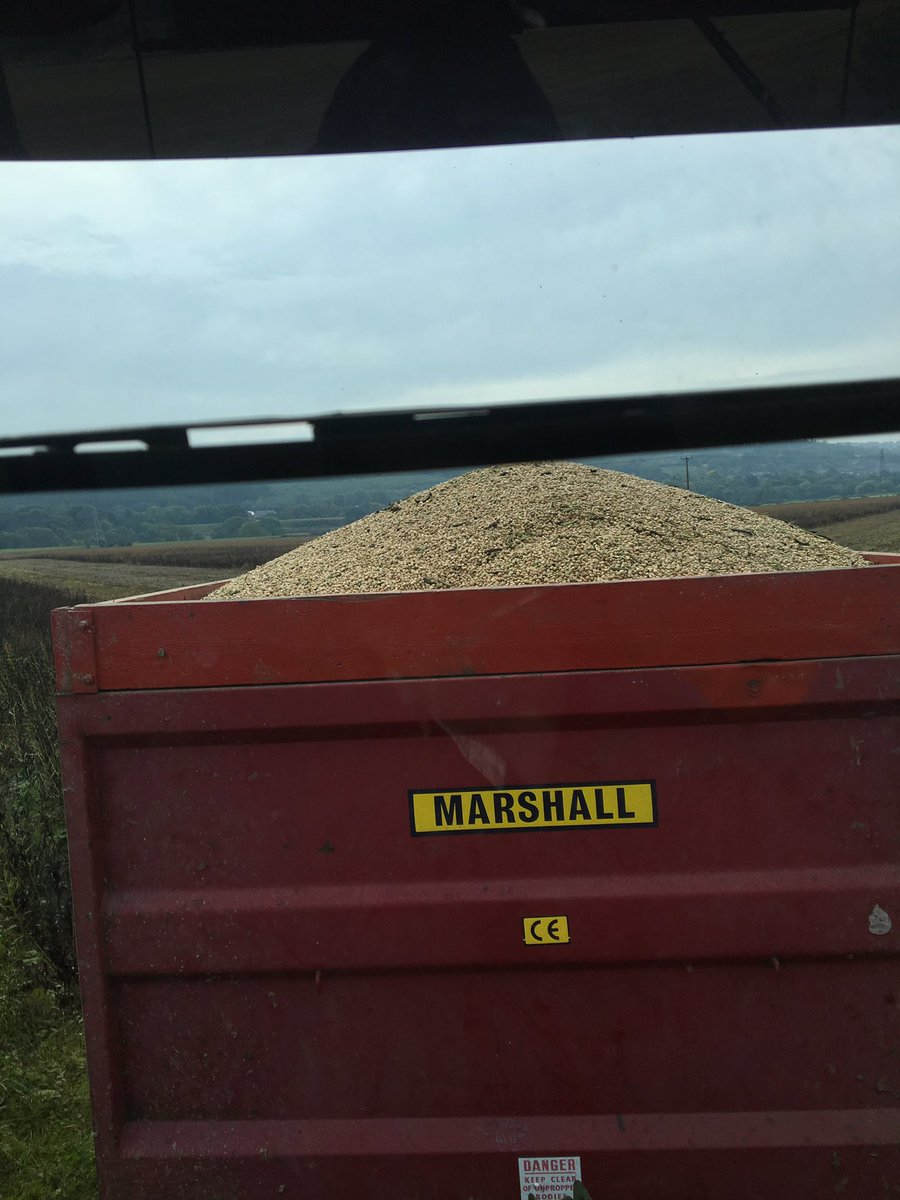 rob_proud's tweet photo. That's my #harvest17 finished, combining beans by myself. Tomorrow it's back to @UniofNottingham and the @SBagrics #ohSBis https://t.co/p4PU6vkpMn