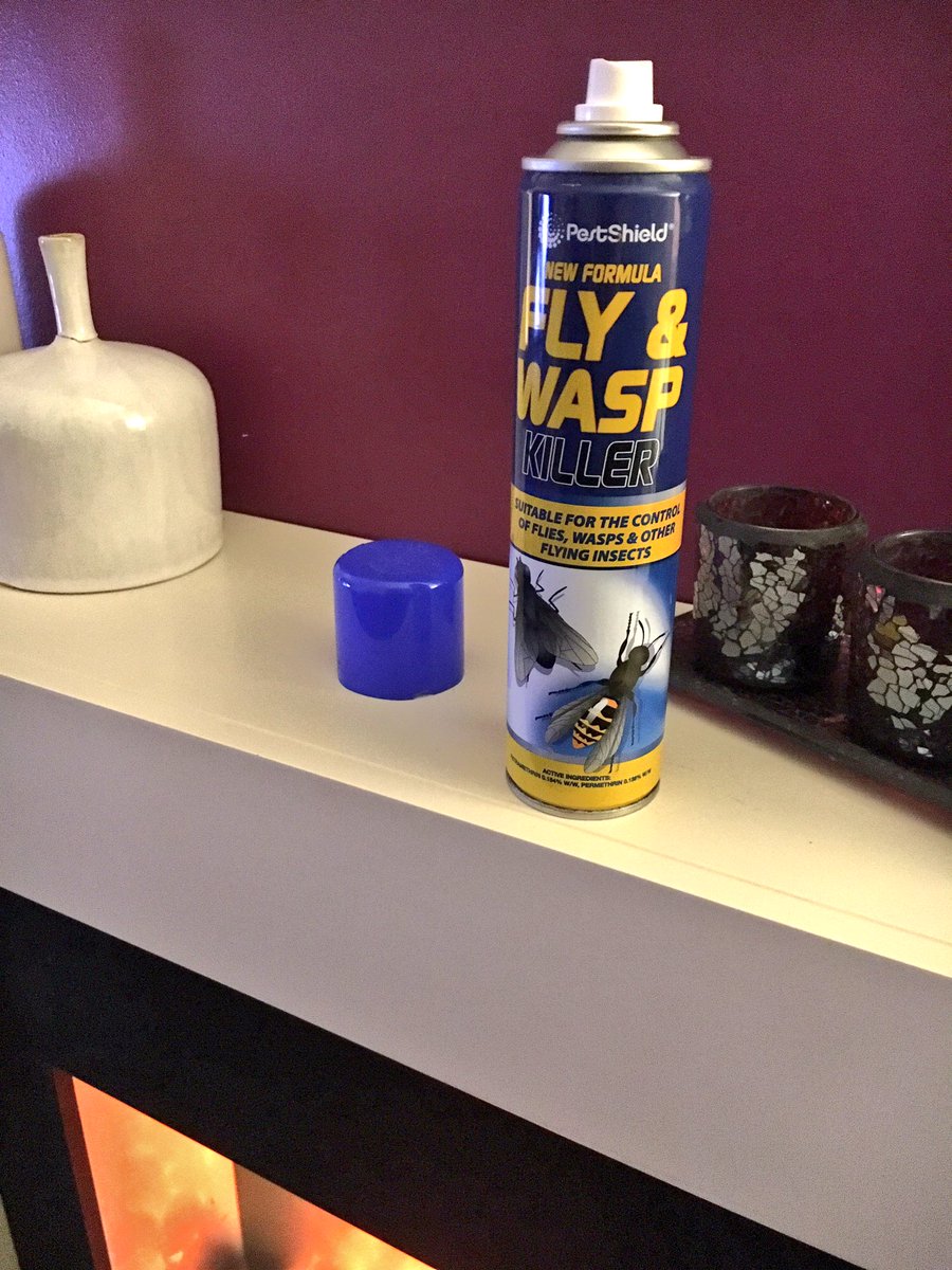 nelliecarty's tweet photo. Armed and ready for the fly in my living room #hateflies https://t.co/YchUCnKmN4