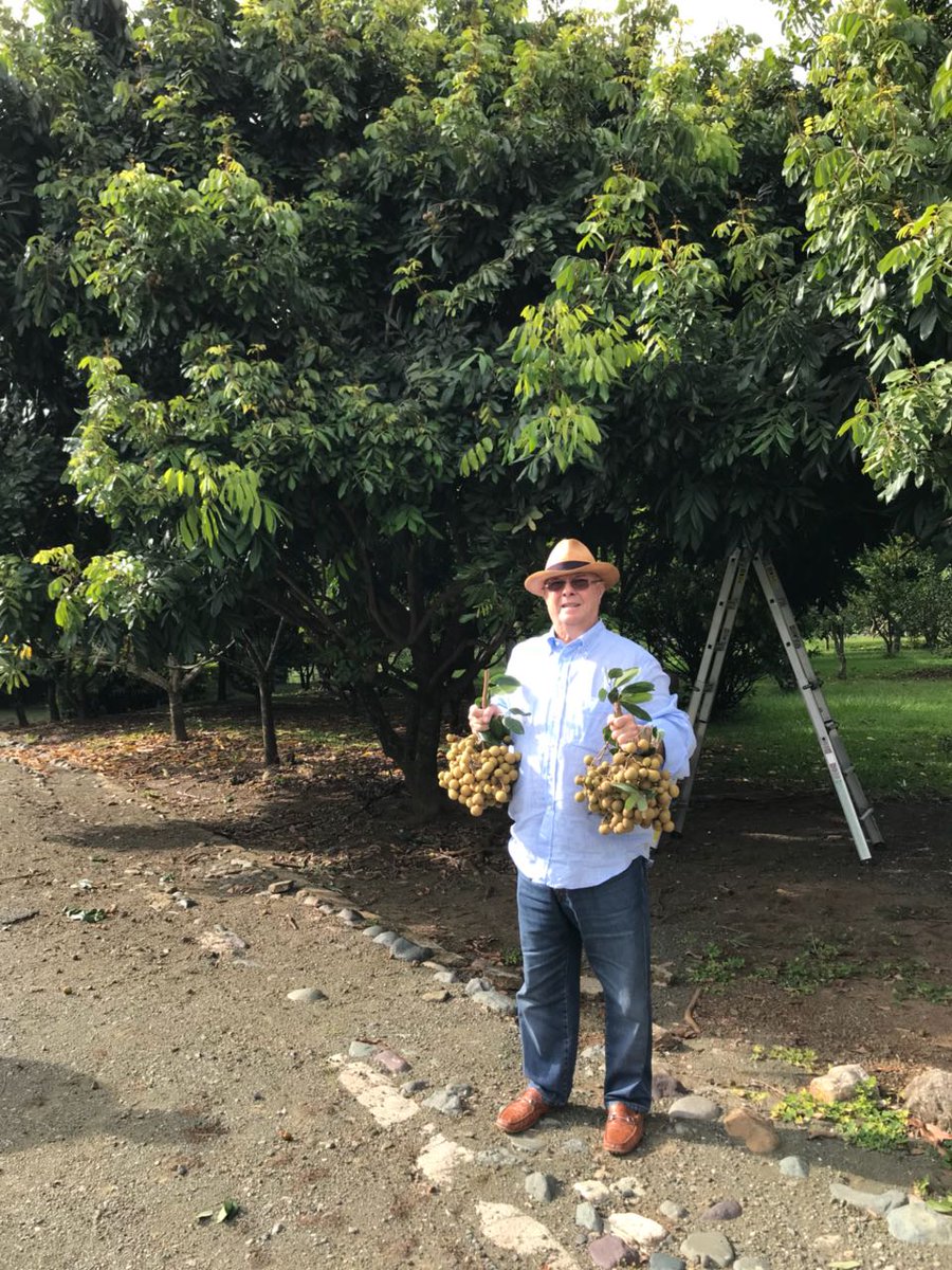 Resultado de imagen para hipolito con frutas en el campo