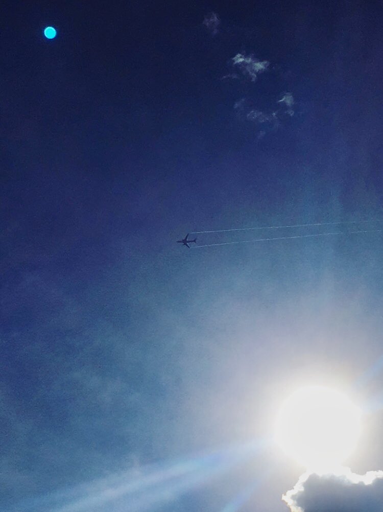 n_larenas's tweet photo. #RetoAvGeek: ¿Qué avión y aerolínea es? 🤔✈️ https://t.co/vYdt5IljNR