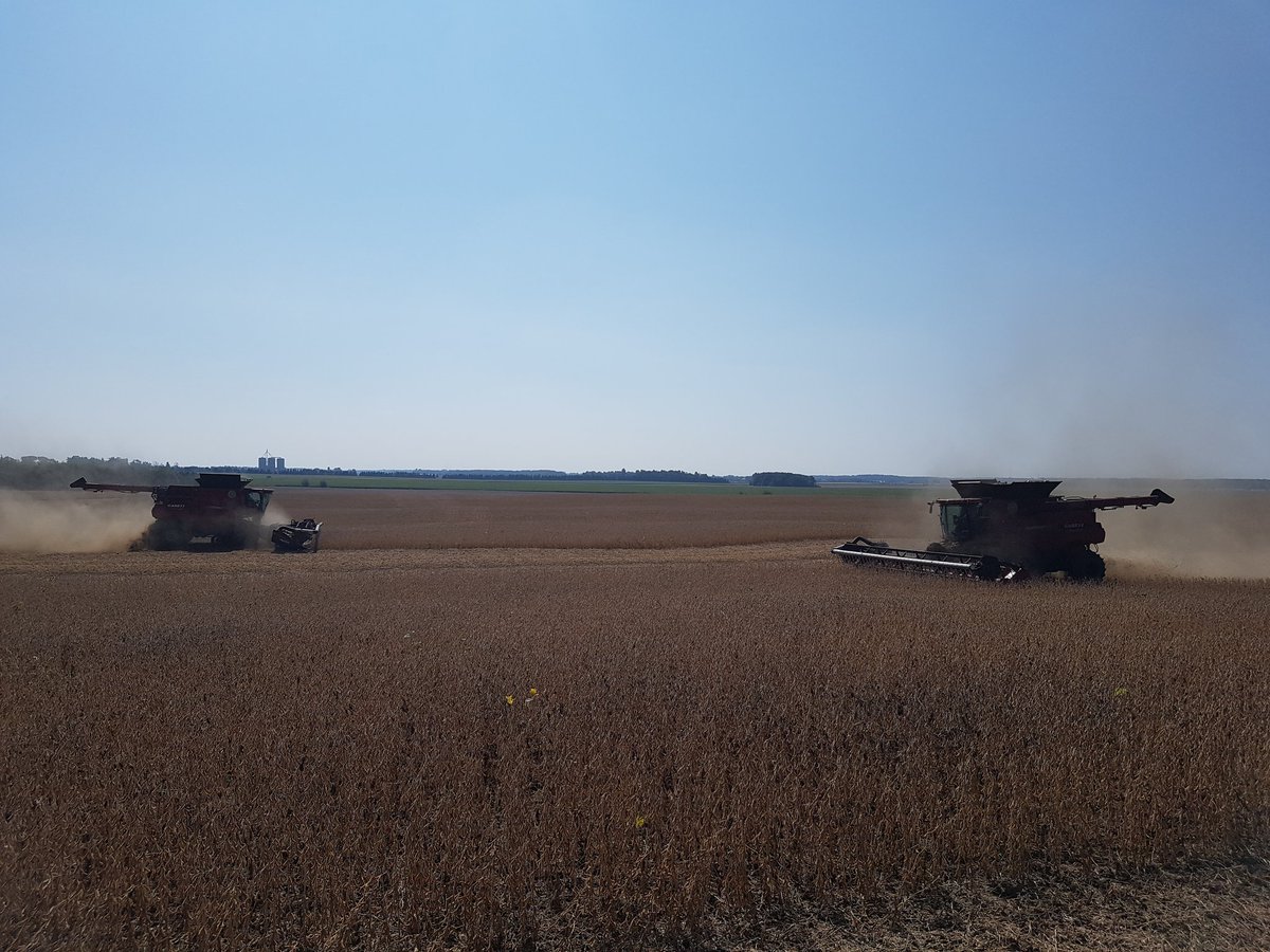 Hauke Claussen tweet media