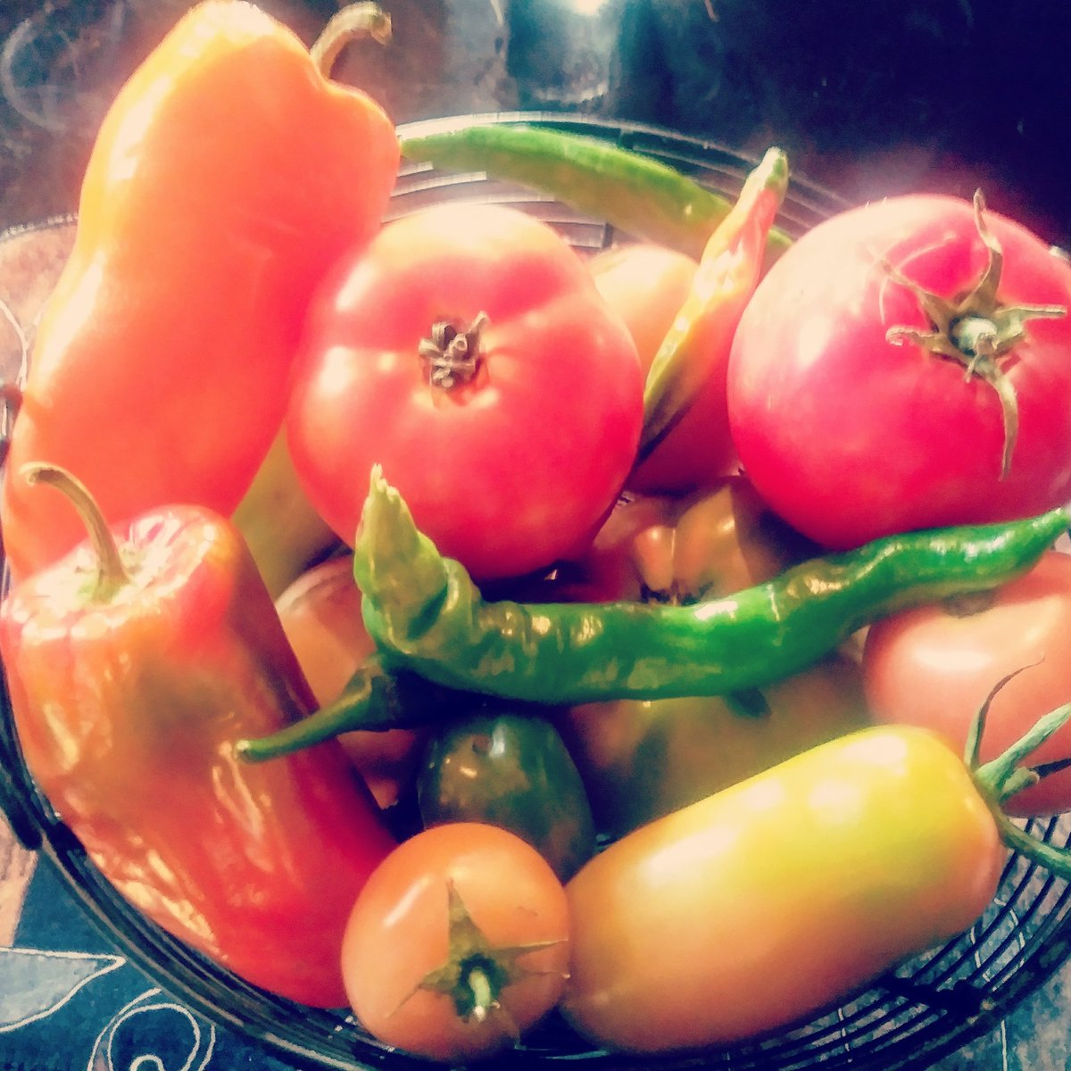 Raspberryhillnb's tweet image. A few veggies ready! 
#gardening #fall #homestead #selfsuficient #VEGETABLES #Garden #peppers