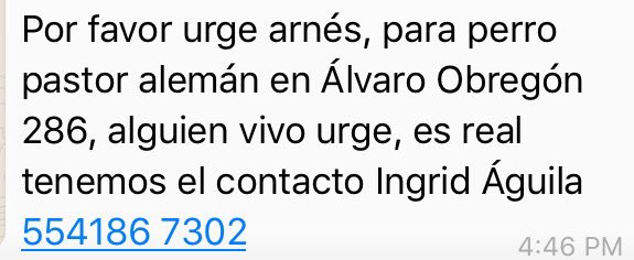 URGENCIA!!!! Arnes para perro en Alvaro Obregon, alguien vivo. Aqui el contacto: 🙏🙏🙏