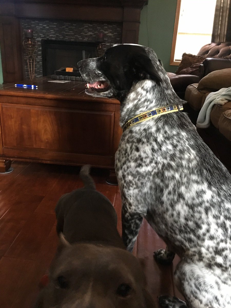 Hazel Devick tweet media