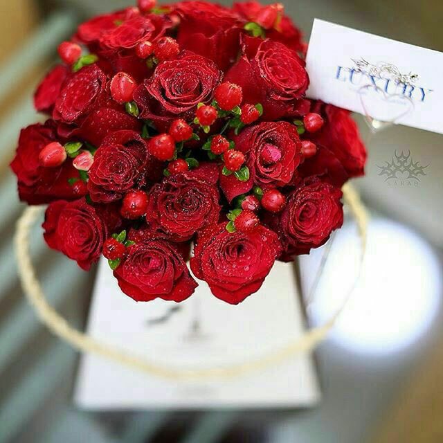 الۍ كل شخص "متصل الان" ☺️

.

.