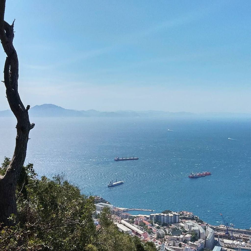 andrealvespt's tweet photo. #gibraltar #africaisrightthere #thatsmoroccointhedistance #topoftherock #monkeysden #cheapestfuel https://t.co/p9LCqu2dn8 https://t.co/ijKabWMlFg
