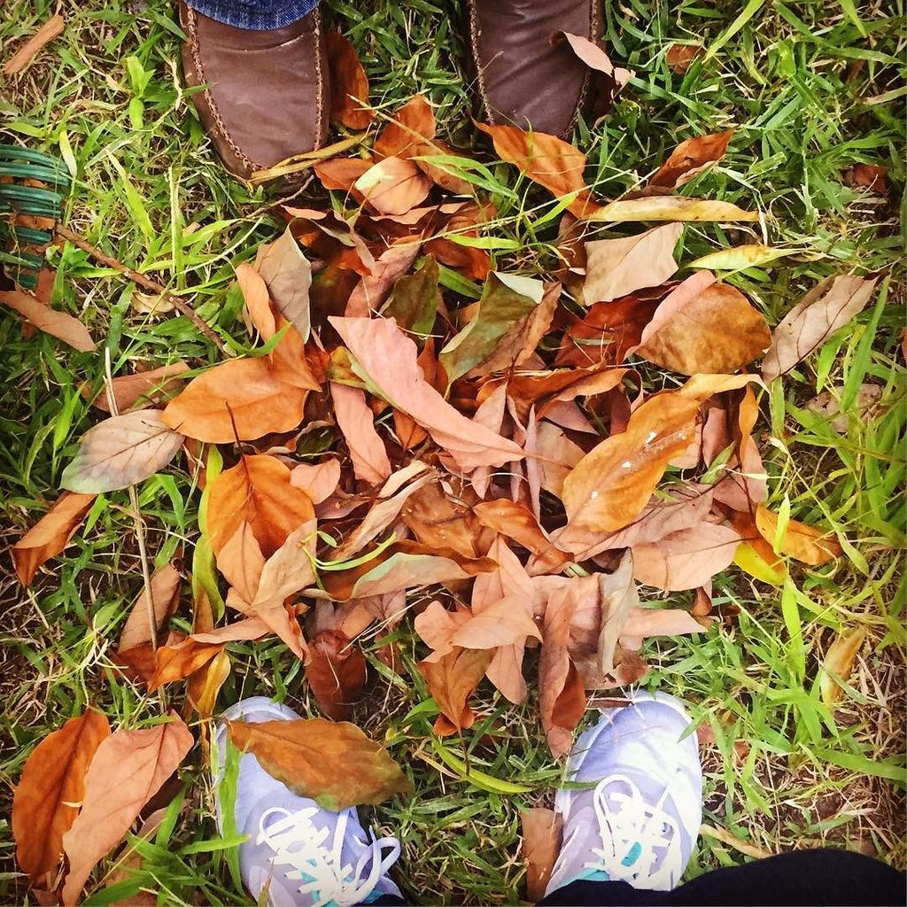 tintadeanacaona's tweet image. #whateverwillbe
.
I will be,
always, 
the wind,
the brown leaves,
the cherry blossoms,
the tulips,
the memories,
t… ift.tt/2xyANEU