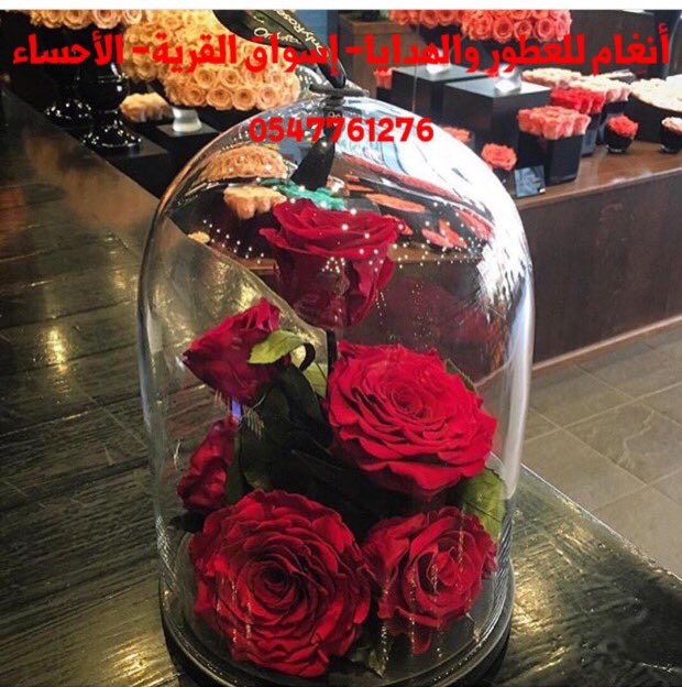 ftava966's tweet photo. أنغام للعطور والهدايا- إسواق القرية- الأحساء
0547761276 https://t.co/JQ4FZvrURW