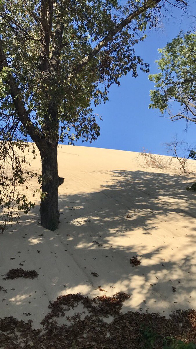 mbr55's tweet photo. Perfect day for #IndianaDunes #NationalLakeShore https://t.co/69raYG5w19