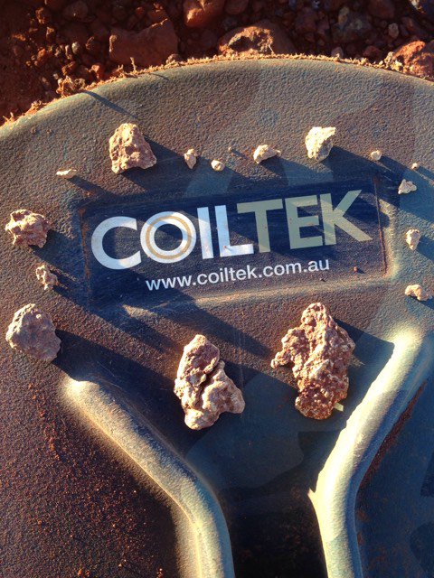 Coiltek tweet media