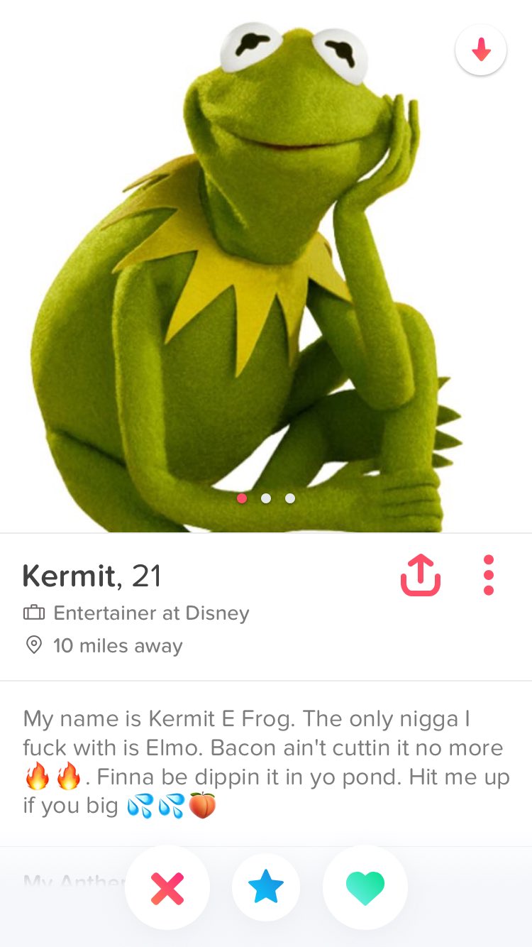 funny-tinder-profile-with-kermit-the-frog-as-a-package-deal