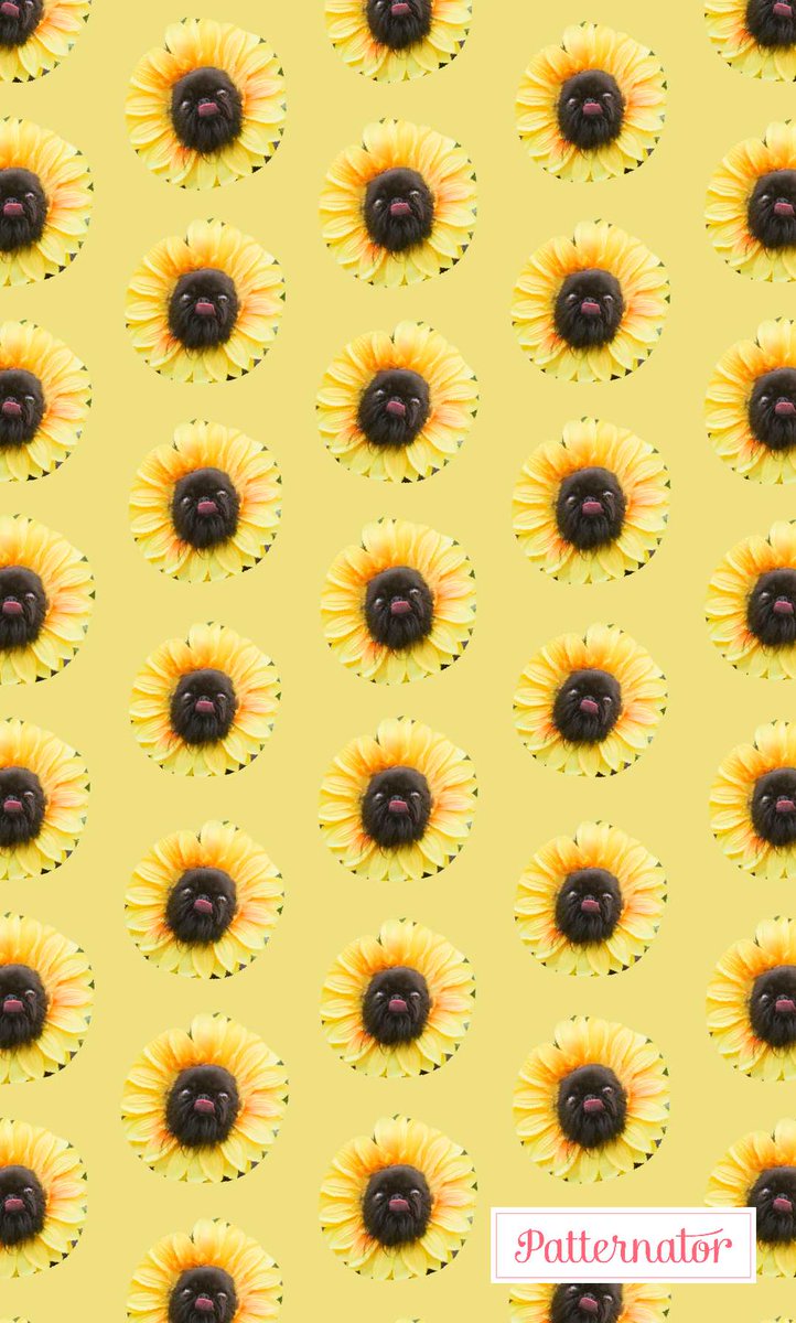 Yes, you were looking for a new phone wallpaper and of course you can use these ones!