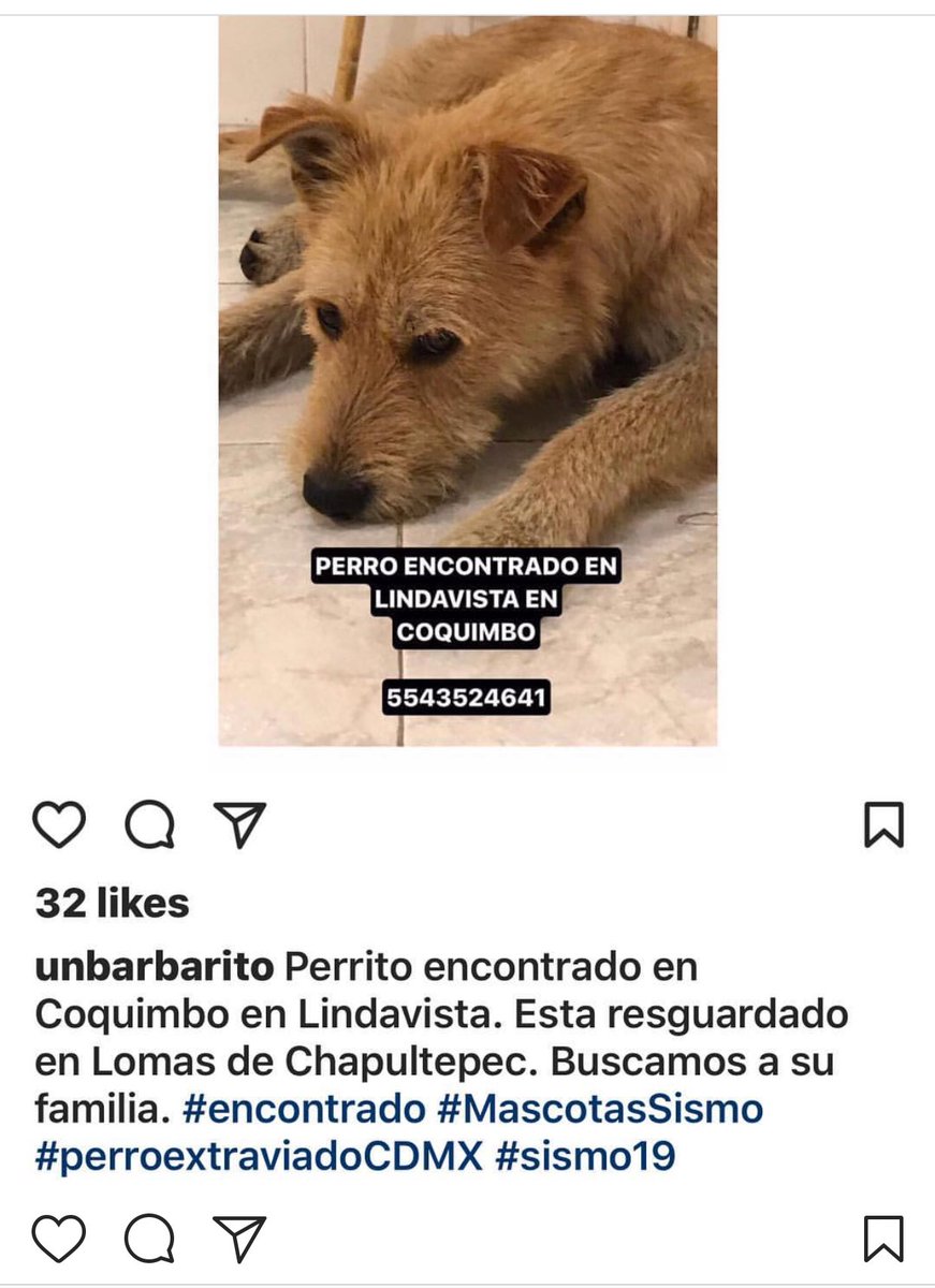 Jime_Tovars's tweet photo. #mascotasismo19 #fuertemexico https://t.co/qUBEtd4dbP