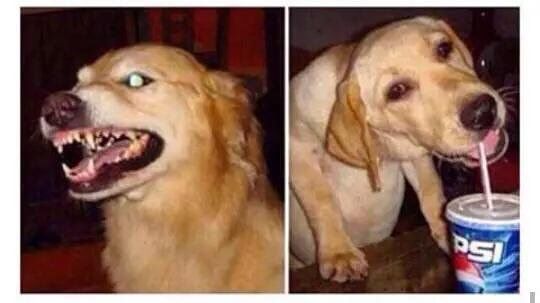 Marijuana Cannabis tweet media