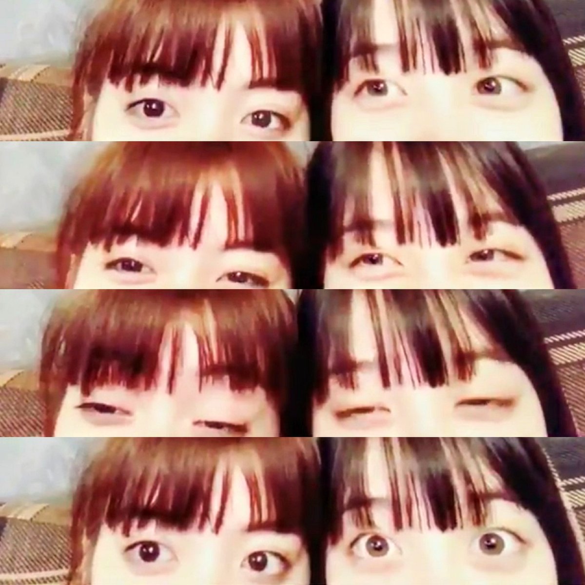 ট ইট র かめ吉 池田エライザ 橋本環奈 プライベートでの交流に反響 同郷コンビが美しい 福岡育ち 2人とも目元だけでも美しい 音声ないのに可愛いが溢れている 前髪ぱっつん目もぱっちりで2人とも似てる 美人姉妹みたい モデルプレス