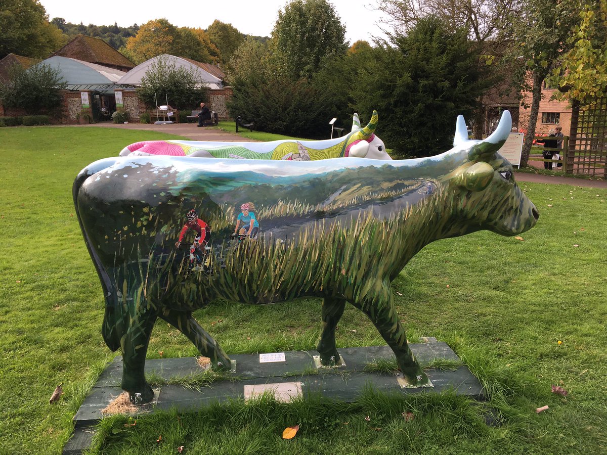 More and more people are cycling these days, even the cows near Box Hill are getting in on the act!! #bovineart