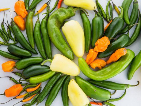 Could chili peppers become the hottest new thing in weight loss? hortidaily.com/article/37750/… https://t.co/h2Li6dLSSn