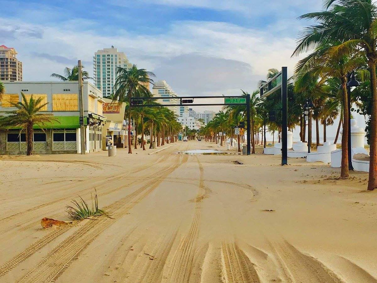 FFAC2016's tweet image. Miami street after Irma hurricane. #Miami #Florida #Irma