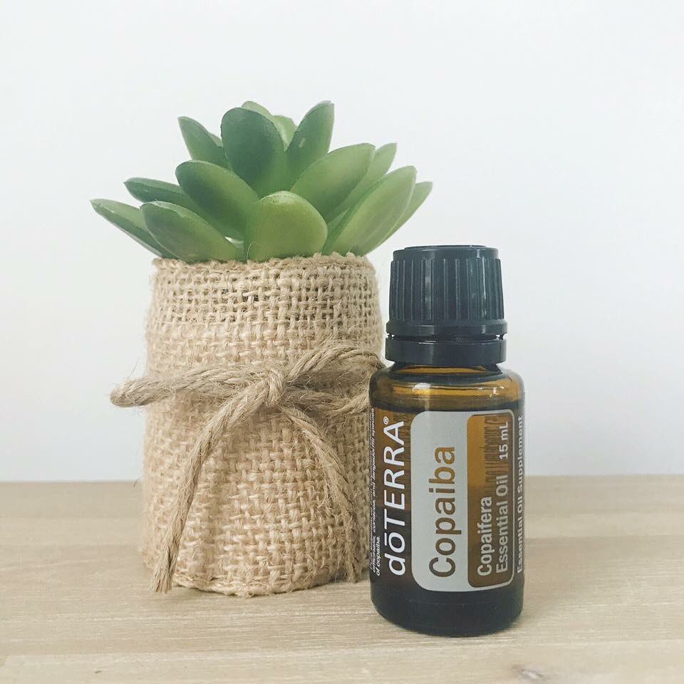 jennarbuckle's tweet photo. Diffusing this essential oil with Wild Orange for a solid sleep #bestsleepever #sleep #essentialoils https://t.co/oo8YkuYBgq