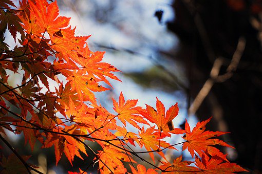 EurocellRecruit's tweet photo. Autumn's a great time to job search - many dept heads need to hire before Jan or risk losing allocated funds for new employees. https://t.co/EvXFxumkJq